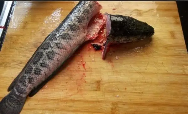黑鱼和什么食物相克  黑鱼的做法