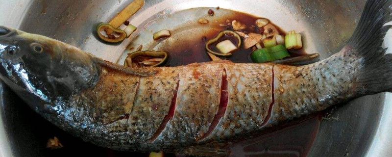 木炭烤鱼的做法及配料 夜市木炭烤鱼的做法