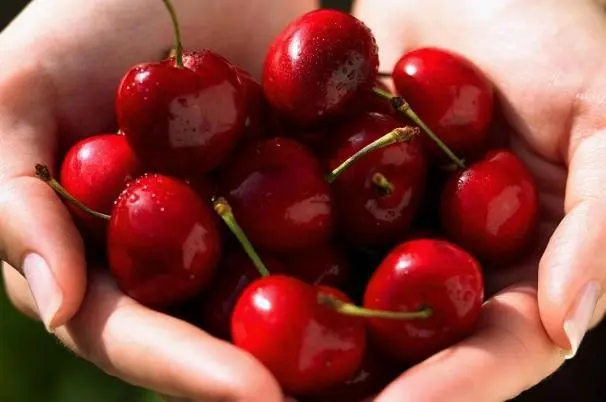 樱桃和车厘子是同一种水果吗 樱桃有什么好处？