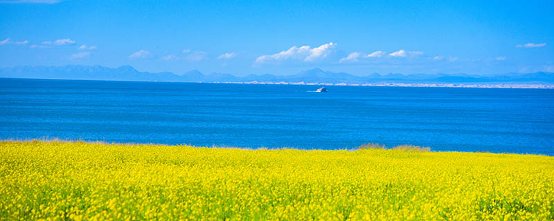 青海湖旅游攻略 青海湖一日游最好的路线