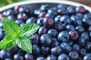 蓝莓和杨梅可以一起吃吗 蓝莓不能和什么一起吃