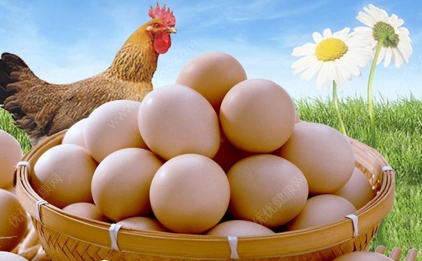 果冻和鸡蛋可以一起吃吗？果冻和鸡蛋能同时吃吗？(3)
